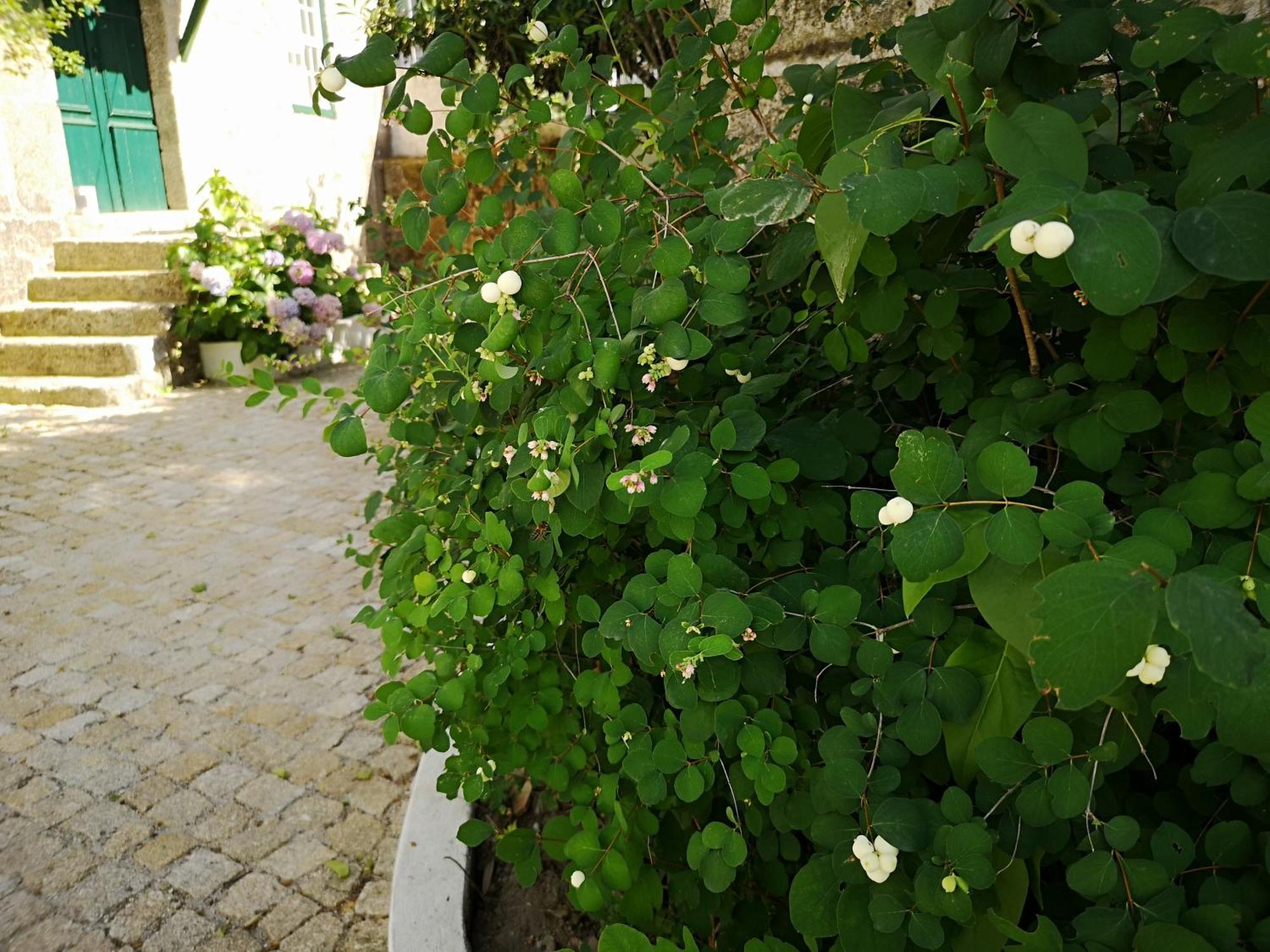 Refugio De Calheiros Villa โกวิลา ภายนอก รูปภาพ