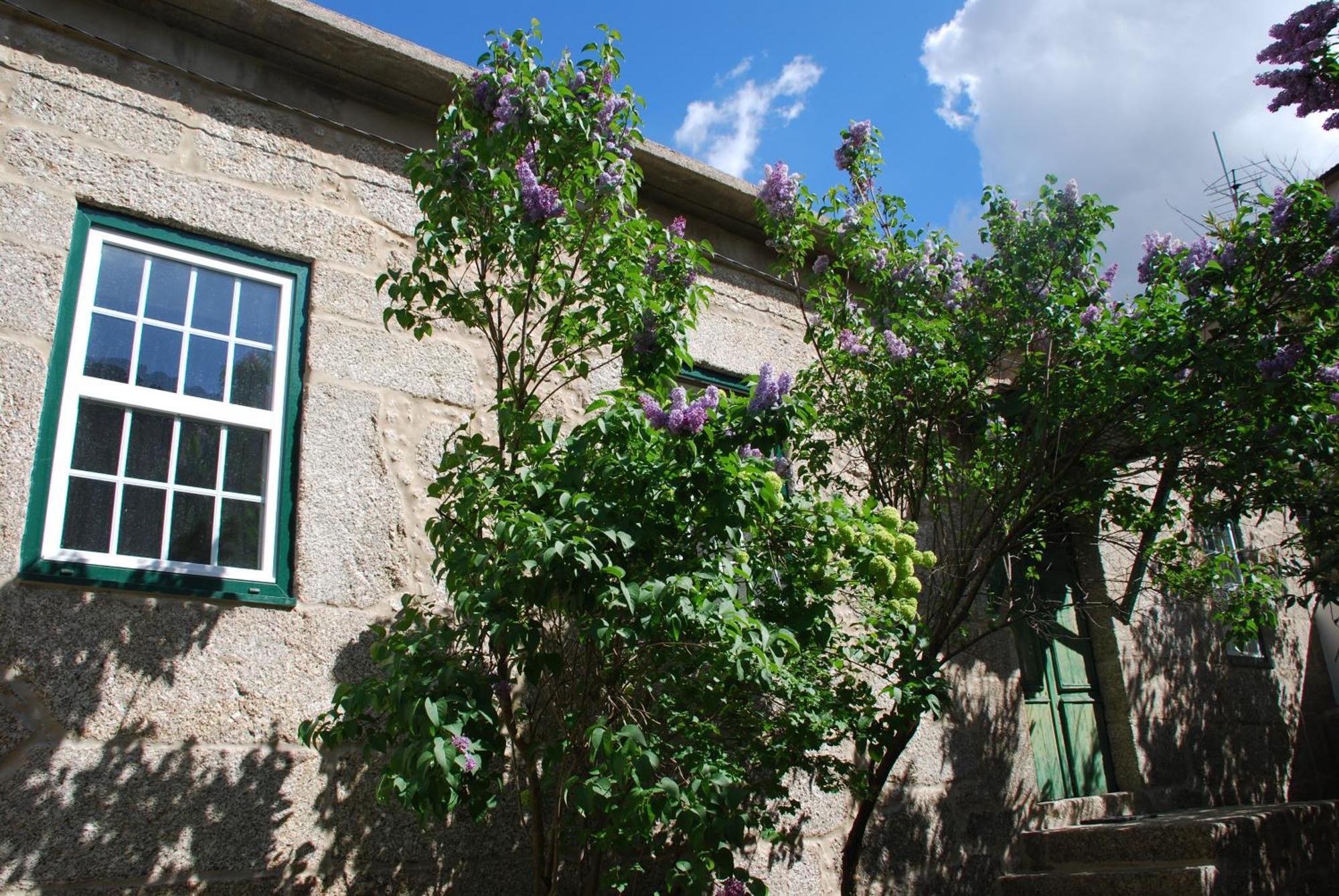 Refugio De Calheiros Villa โกวิลา ภายนอก รูปภาพ